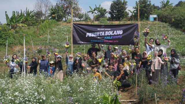 Wisata