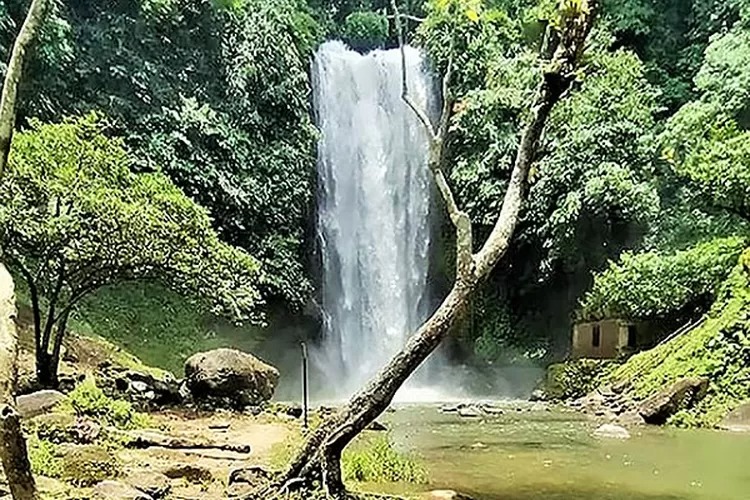 Desa Renah Sungai Besar Kecamatan Limbur Lubuk Mengkuang Kabupaten Bungo Provinsi Jambi