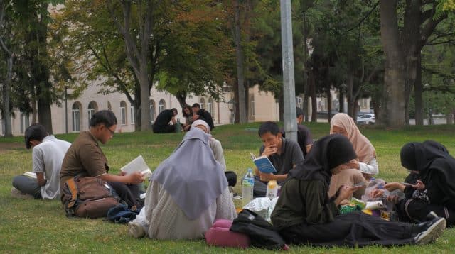 Literasi