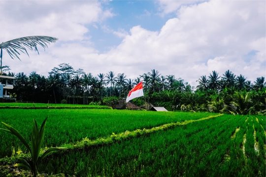 Peningkatan Kesadaran dan Kepribadian Nasional pada Transformasi Sistem Sosial Budaya Indonesia