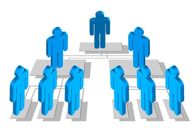 Organisasi