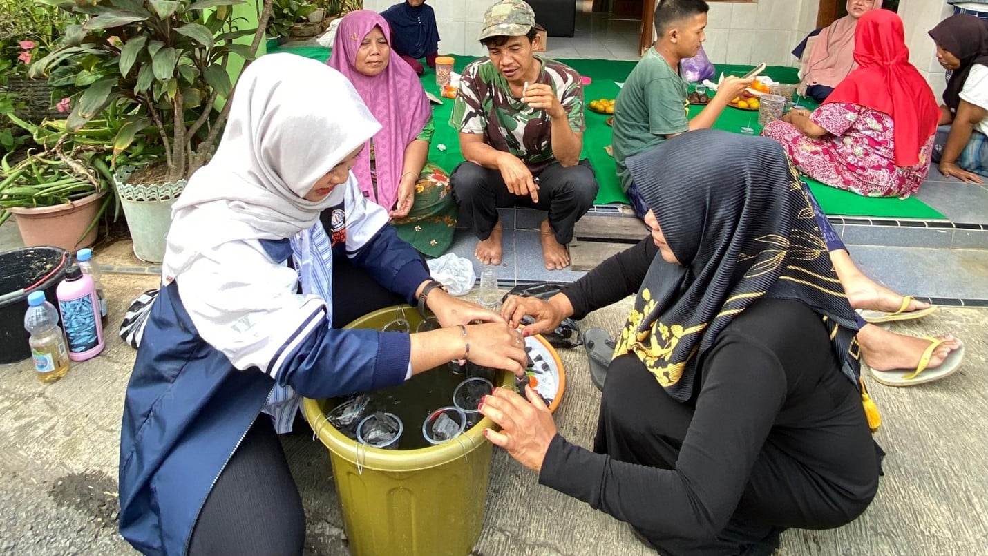 Cara Budidaya Ikan dan Sayuran dalam Ember (Budikdamber) dengan Metode Sederhana, Praktis dan Hemat Skala Rumah Tangga