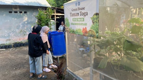 Mahasiswa UMM Bersama Masyarakat Desa Minggirsari Lestarikan Tanaman TOGA Tanpa Bahan Kimia