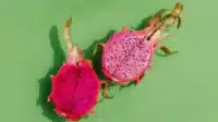 Kesehatan