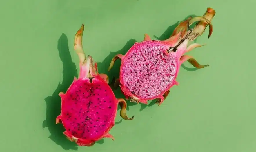 Kesehatan