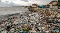 Sampah