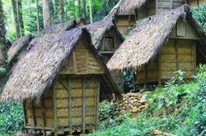 Pangan