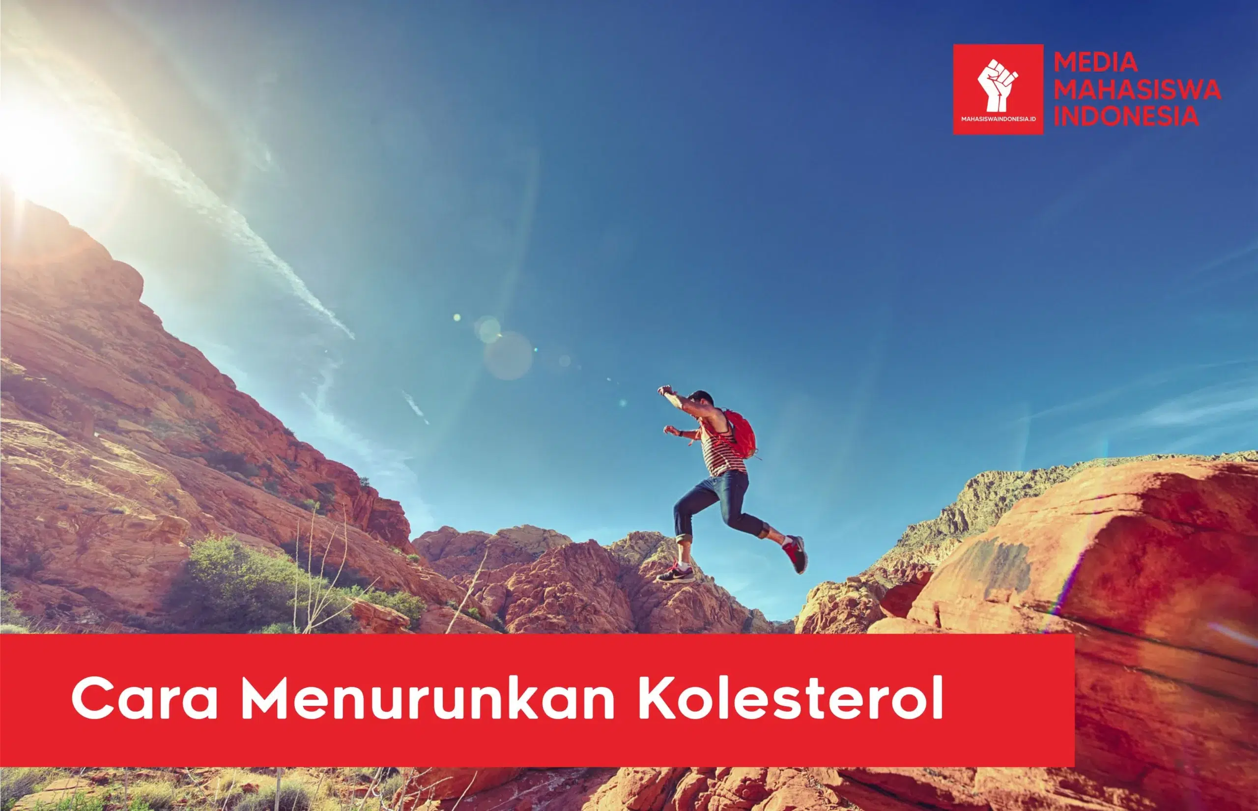 Cara Menurunkan Kolesterol