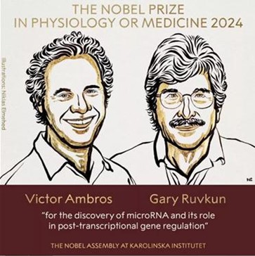 Victor Ambros and Gary Ruvkun