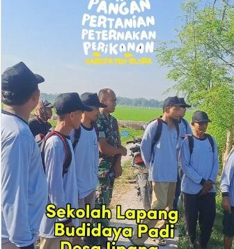 Sekolah Lapang Budidaya Tanaman Padi