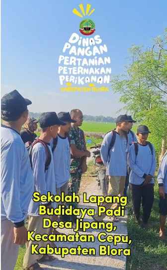 Sekolah Lapang Budidaya Tanaman Padi