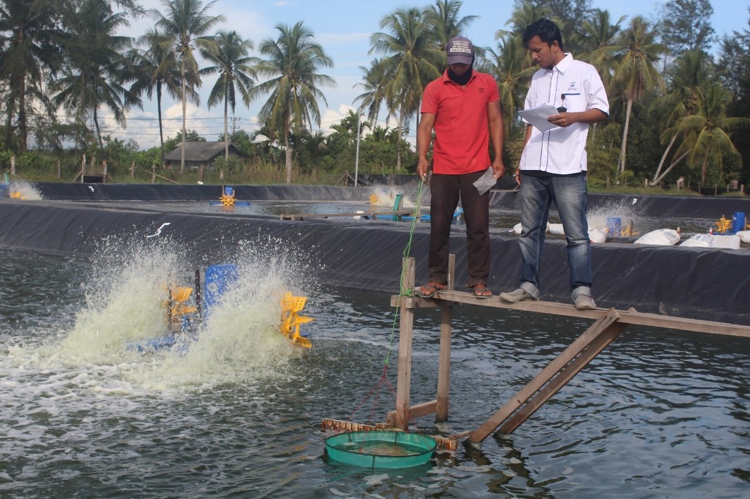 Akuakultur Tambak