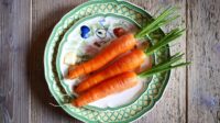 Karotenoid: Rahasia di Balik Warna Cerah dan Nutrisi Hebat Wortel