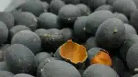 Asam Keranji