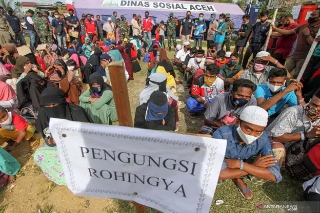 Bagaimana Indonesia Berperan dalam Melindungi Pengungsi Rohingya?