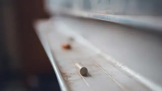Pendidikan