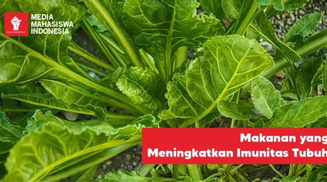 Makanan yang Meningkatkan Imunitas Tubuh menurut Dokter