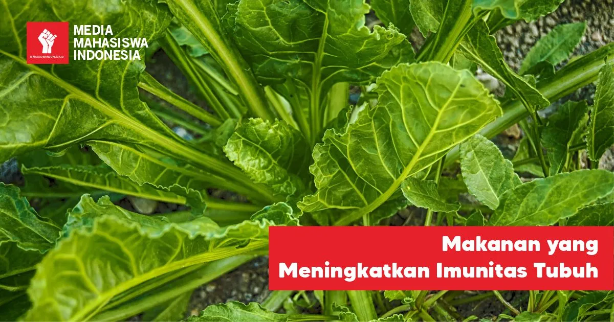Makanan yang Meningkatkan Imunitas Tubuh menurut Dokter
