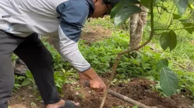 Menanam Pohon Bersama Masyarakat di Candi Selogriyo