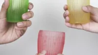 Minum, Gigit, Lenyap: Revolusi Kemasan Edible Cup Ramah Lingkungan