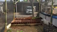 Greenhouse Sederhana