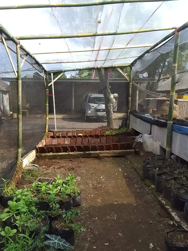 Greenhouse Sederhana