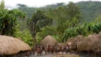 Papua