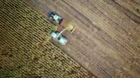 Agroteknologi