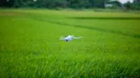 Drone