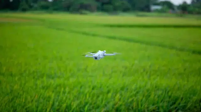 Drone