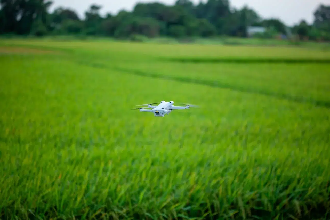 Drone