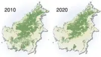 Kalimantan