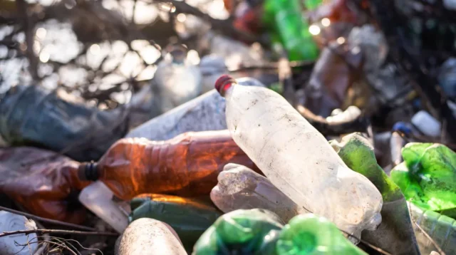 Sampah Plastik sebagai Media Pencemaran Sungai