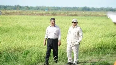 Pangan