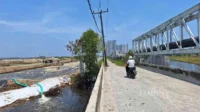 Pantai Indah Kapuk 2
