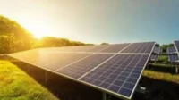 Sunflower Solar Panels