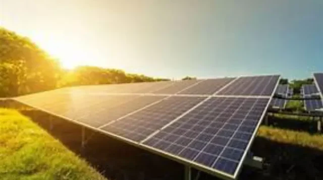 Sunflower Solar Panels