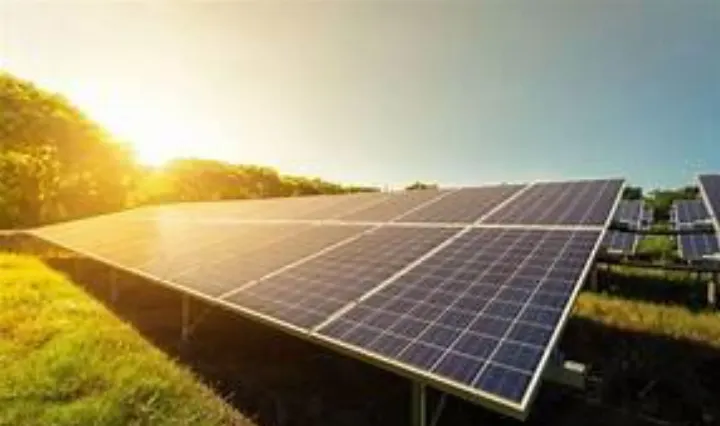 Sunflower Solar Panels