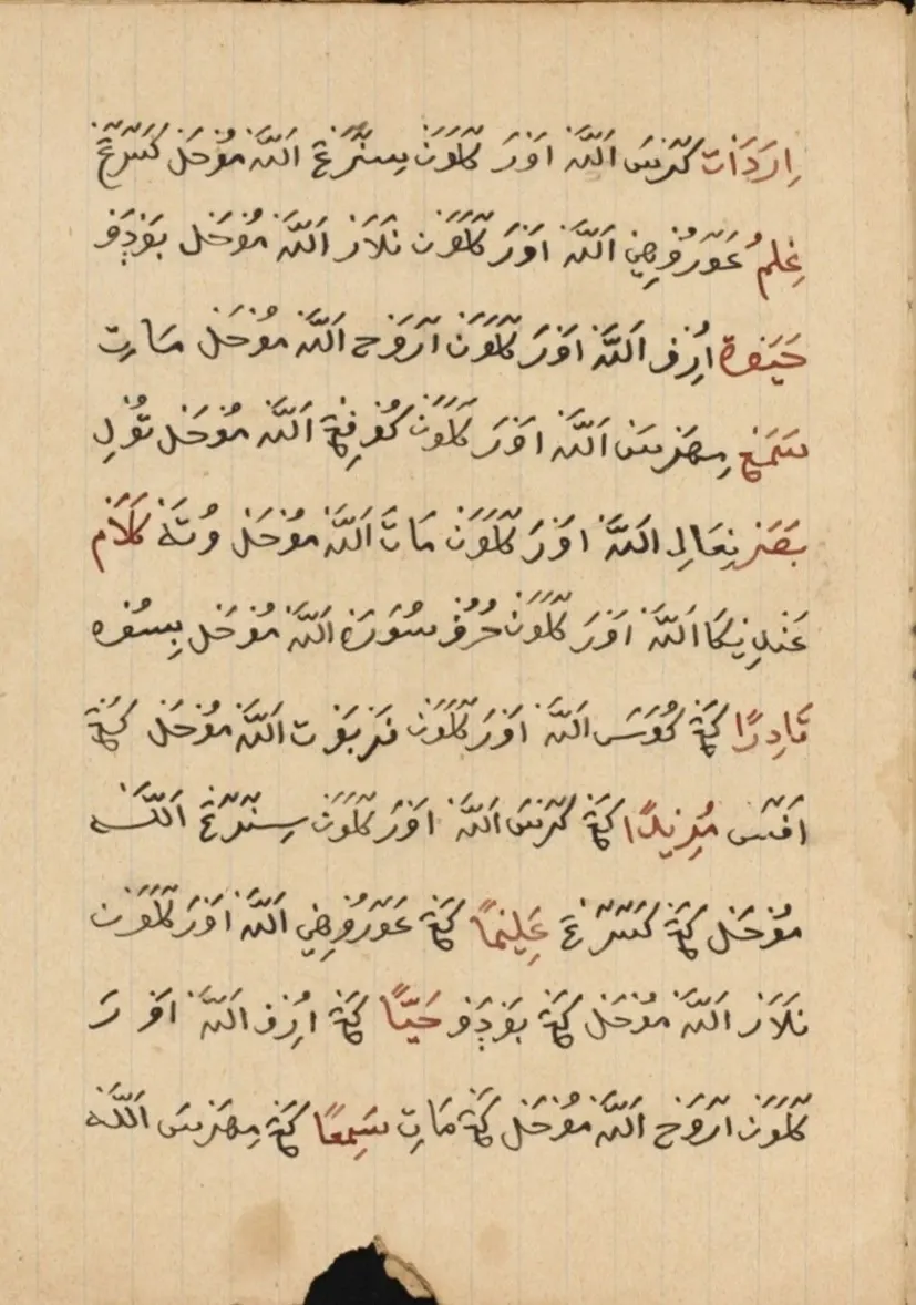 Naskah Pegon pada Abad ke-19