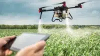Sektor Agroindustri