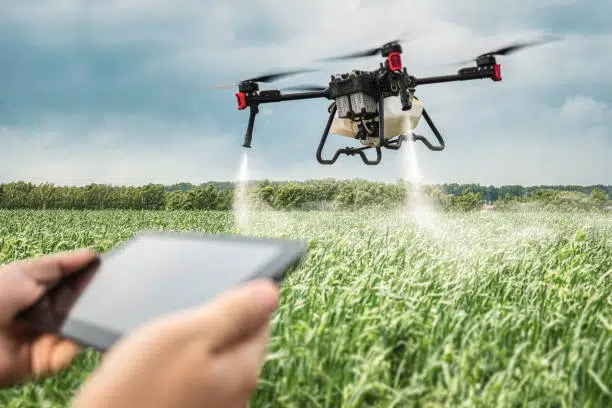 Sektor Agroindustri