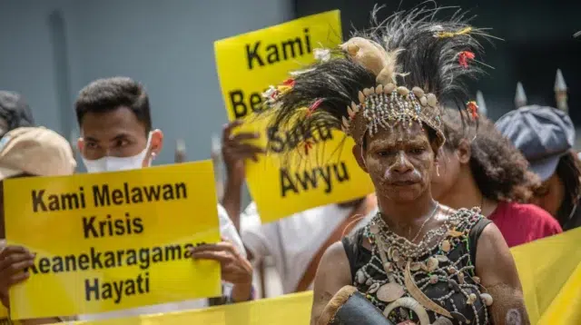 papua