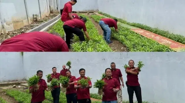 Swasembada Pangan