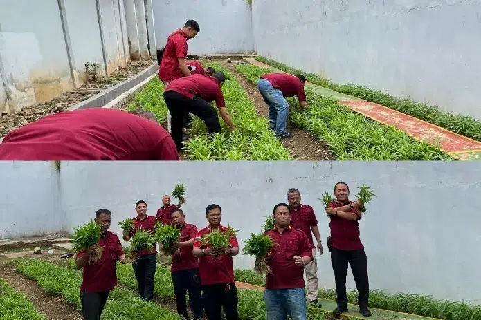 Swasembada Pangan