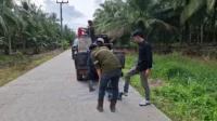 Pengalaman Magang Mahasiswa