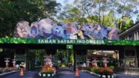 Taman Safari Indonesia: Antara Konservasi, Pariwisata, dan Hak Asasi Manusia