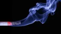 Pengaruh Buruk Rokok Terhadap Daya Tahan Tubuh Mahasiswa