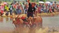 Ritual Syukur dan Pemersatu Masyarakat Madura