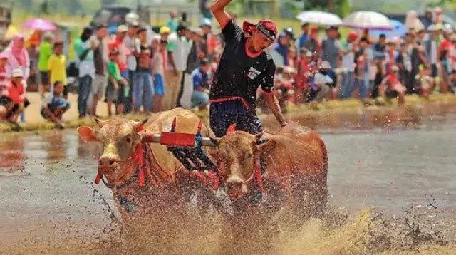 Ritual Syukur dan Pemersatu Masyarakat Madura
