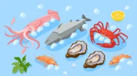 Freeze Drying Seafood: Inovasi Pengawetan untuk Kualitas Prima dan Umur Simpan Lebih Panjang